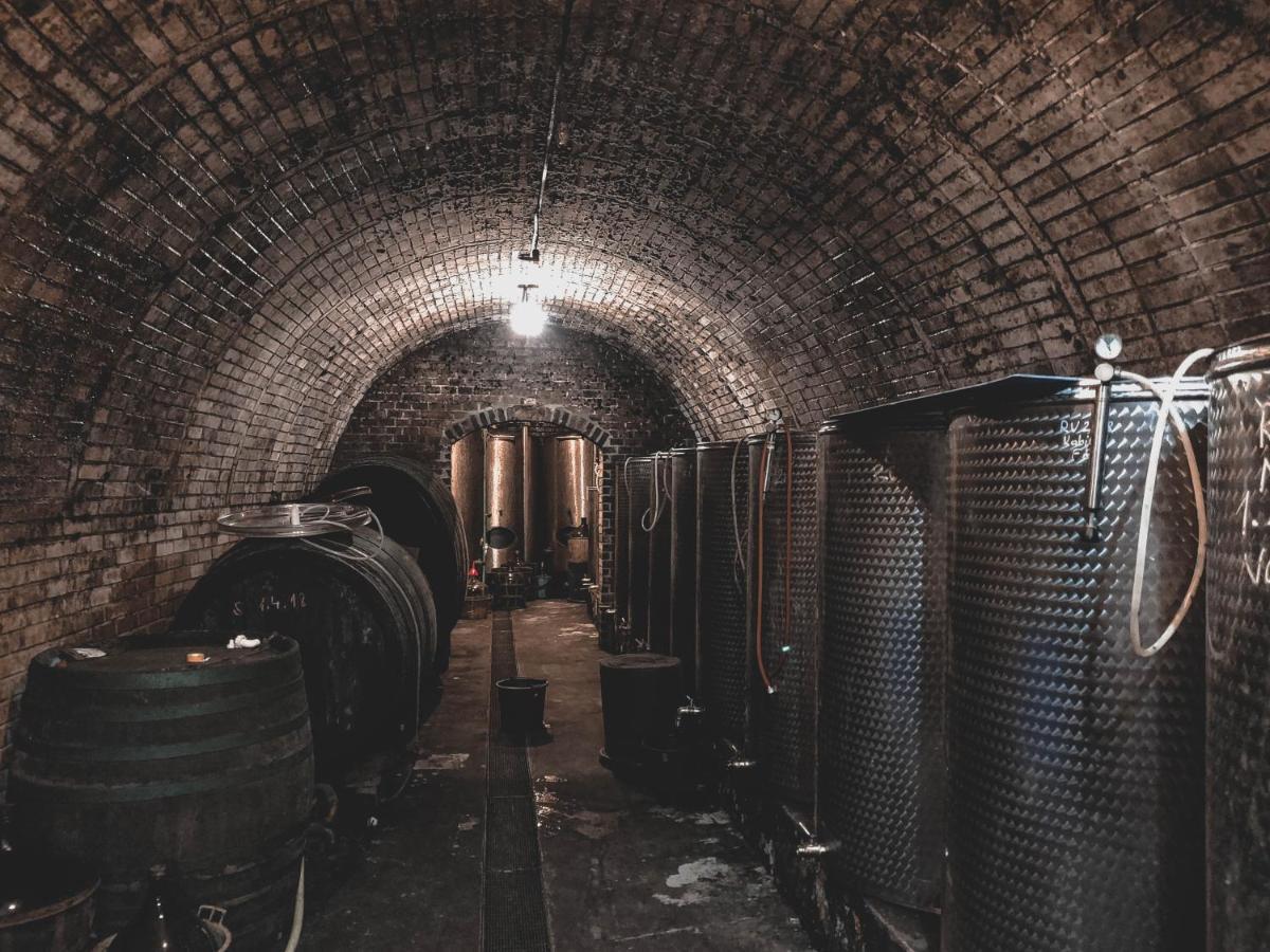 Vinox Winery Villa Vinica Ngoại thất bức ảnh