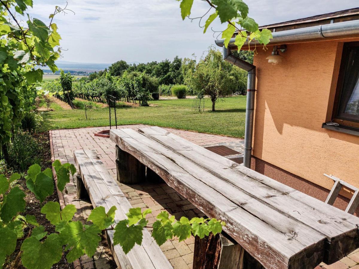 Vinox Winery Villa Vinica Ngoại thất bức ảnh