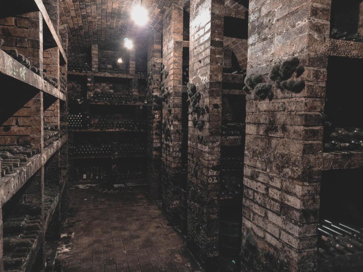 Vinox Winery Villa Vinica Ngoại thất bức ảnh