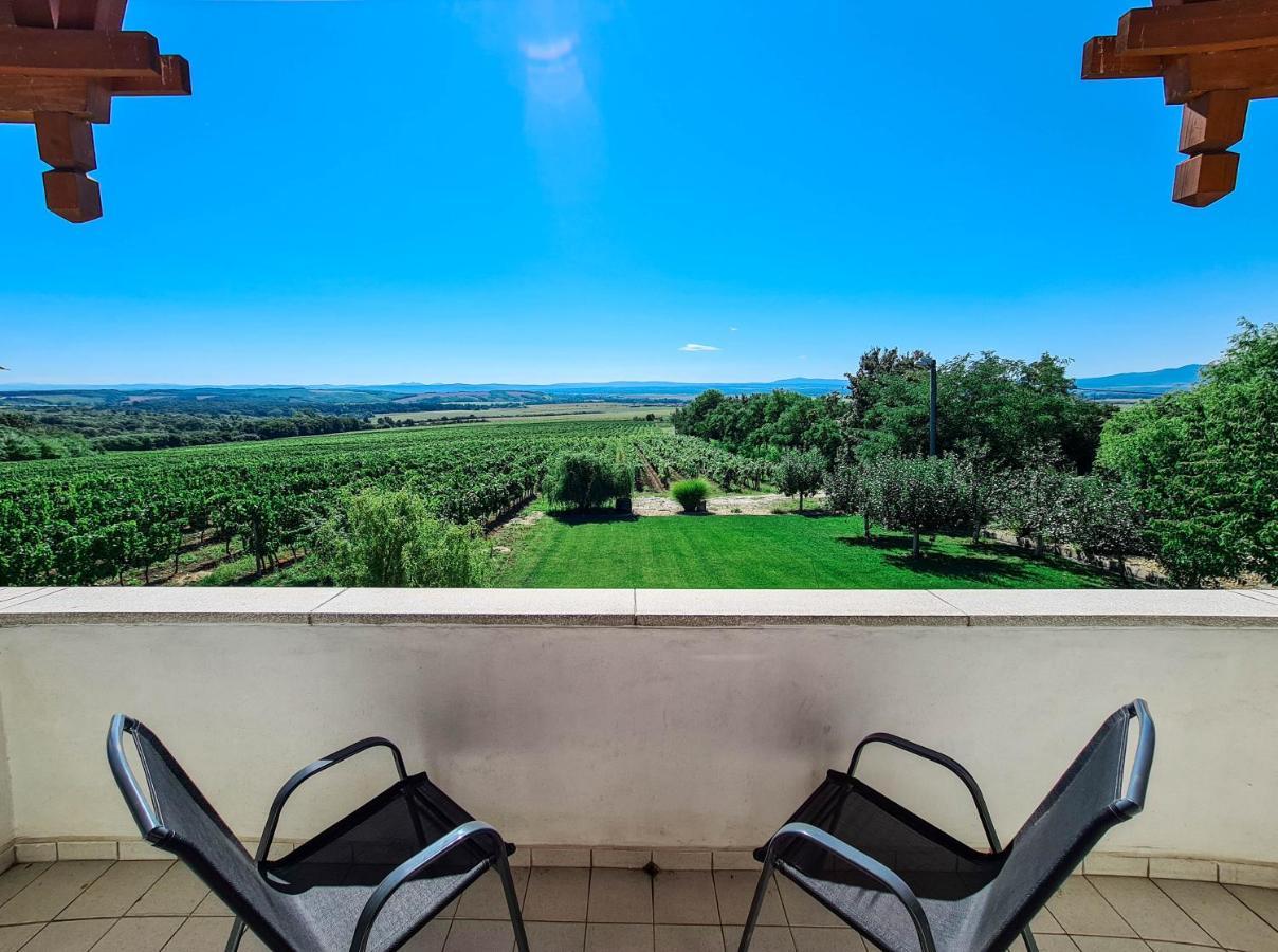 Vinox Winery Villa Vinica Ngoại thất bức ảnh